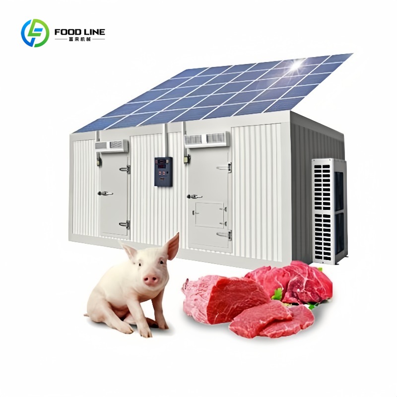 Food Storage Room - Container Freezer Solare Commerciale da 20