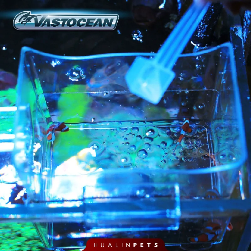 Vastocean Acquario Cassetta de - Food Storage With Scoop recensione e prezzo