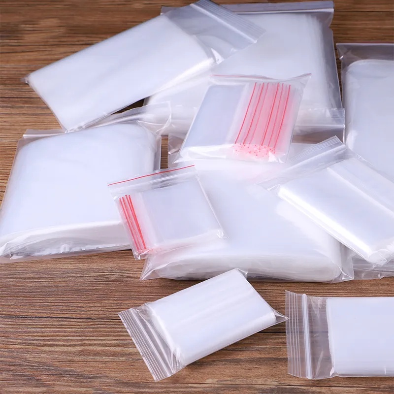 Sacchetti trasparenti Sacchett - Lock And Lock Food Storage recensione e prezzo