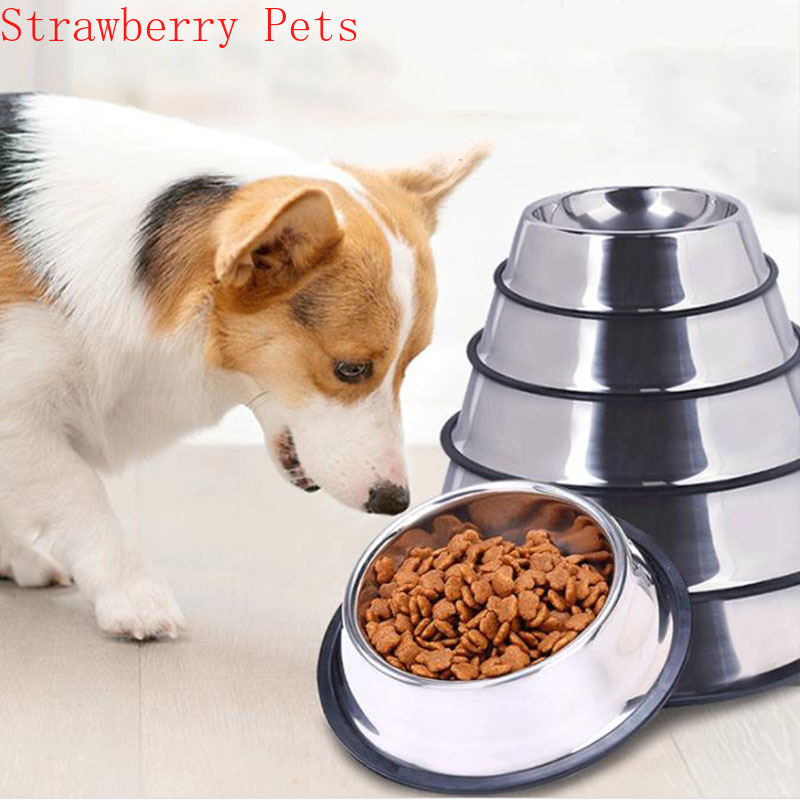 Ciotola per cani da compagnia  - Dog Food Storage Xl recensione e prezzo