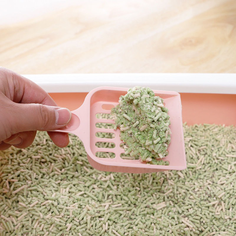 Nuovo Stile Pala per Lettiera  - Food Storage With Scoop recensione e prezzo