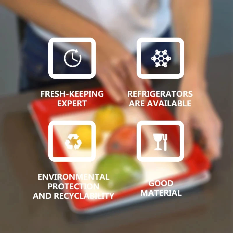 Vassoio per Conservazione Alim - Food Storage And Safety recensione e prezzo