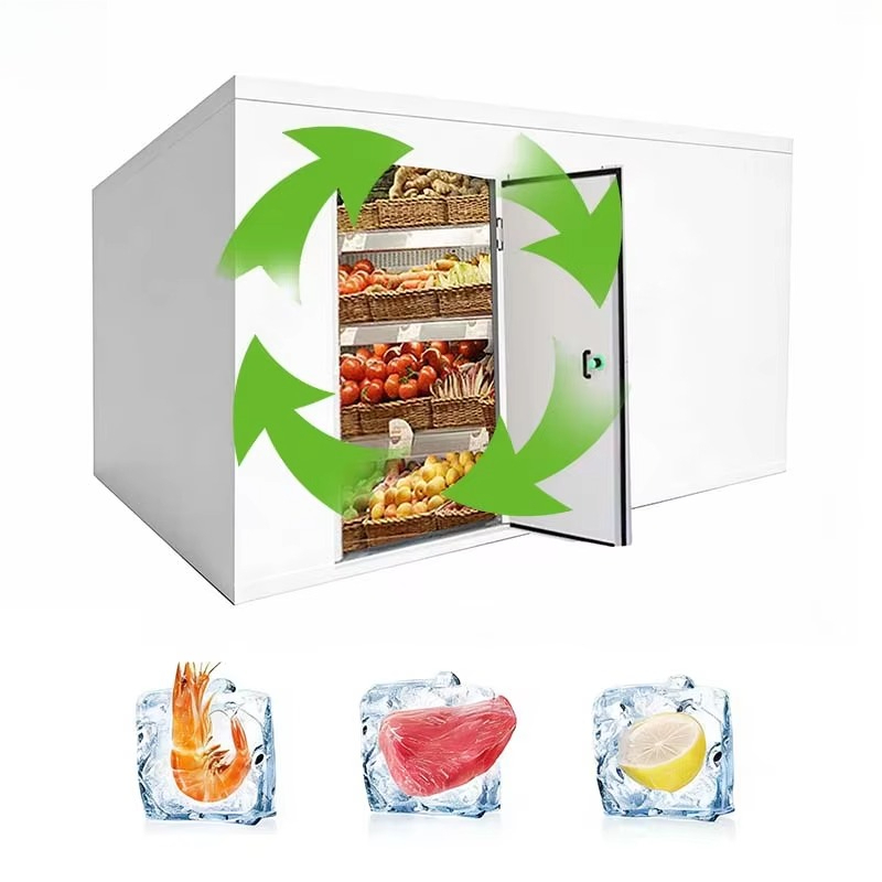 Cella frigorifera personalizza - Food Storage And Safety recensione e prezzo